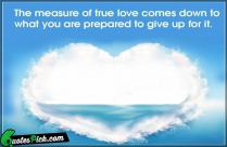 Measure Love Quote